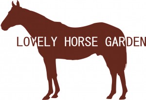 LOVERY HORSE GARDEN3